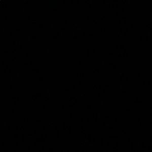 Meet your Posher, Alli